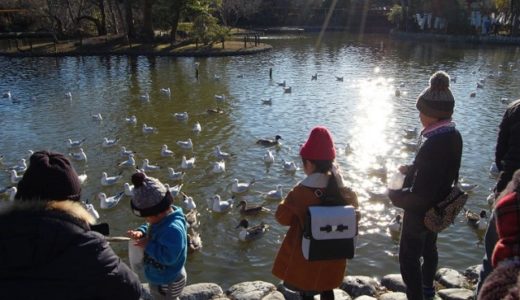 子育てにイライラしたくない！気持ちを穏やかにする方法とは？