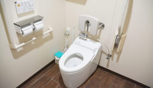 ピカピカトイレはおまかせ？簡単に綺麗に掃除できる道具と方法を伝授